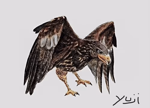 Item #1133159253668487700134162149784362740938794167177105530719148781235276349441 Media