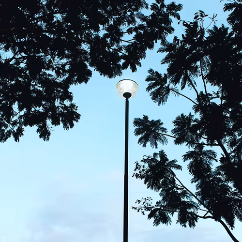 Item #30584075538189747359932889253862216915385166711848471340201805484138558390273 Media