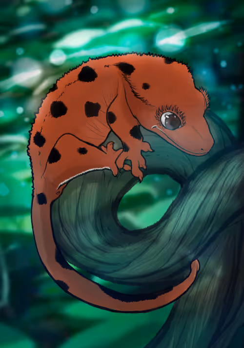 Item #23546686719633506406095790157609111049750244779414073605876924807636391559169 Media