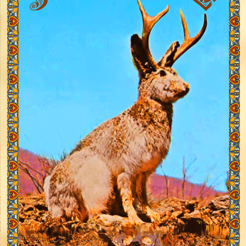 Item #43491420902550312144531220926816905712993913089726861711992935509776381509633 Media