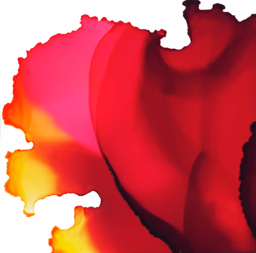 Item #10651705010174007631354222131516777238903455902344838715494381121954300035073 Media