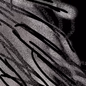 Item #55912007655419604171302048017115560498416396331054200274700601400023410802689 Media