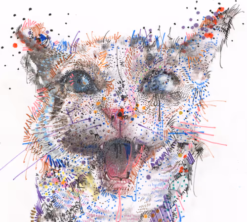 Item #102754690271141517460020261260231775024151531464928223000986145667161788514314 Media