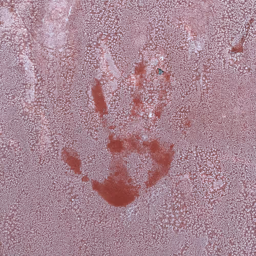 Item #46958899024090373232398737463413705293185688555081041498722300359406270808065 Media