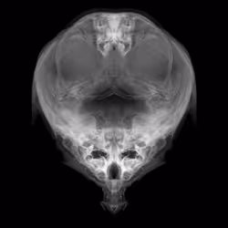 85859191866638808365331437874953228966785819470149775310971061938803877871617