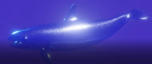 Item #104099004194732186528107260891908231378147874233508203101203207526936234426369 Media