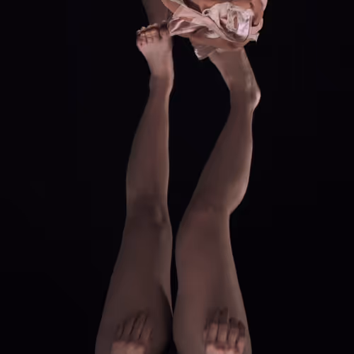 Untitled Collection #50500292