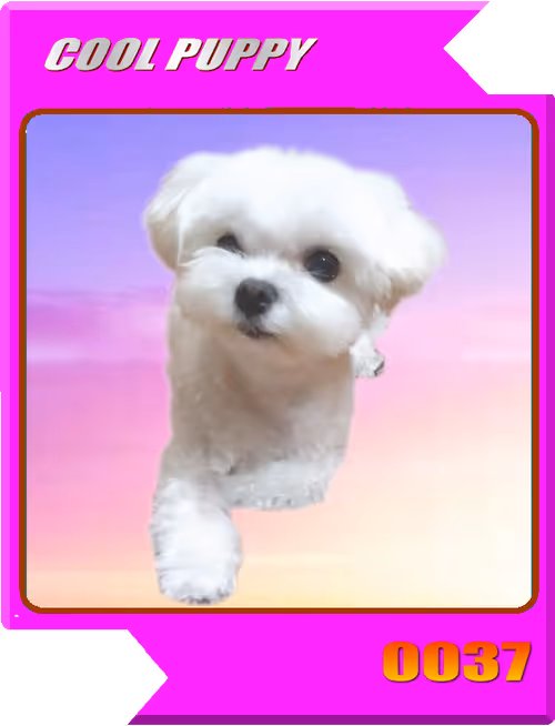 Item #21477548388787063266658748687199700189937005018840532589754440382124249841665 Media