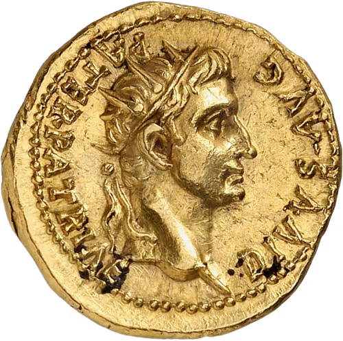 77542017747529569182009060253877341118964181064476913553913041472743425441793