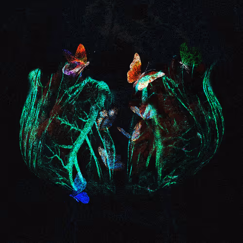 Item #41131212303214857633882661584627936266508237647614651270278514562443065163777 Media