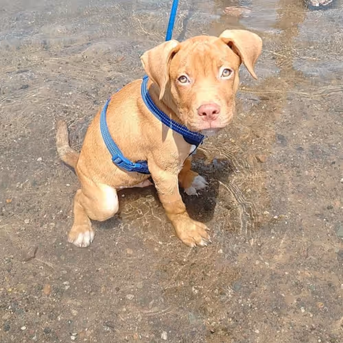 Untitled Collection #3868135400