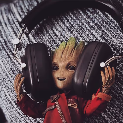 ZefM Collection