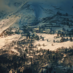 Sunlit Snowfall