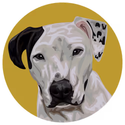 54766349128176429303044182404049584425310907481653304317570413983708890529793