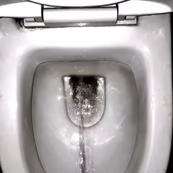 12660136923828748263426703316480839463053827608546839420335323843691970297857