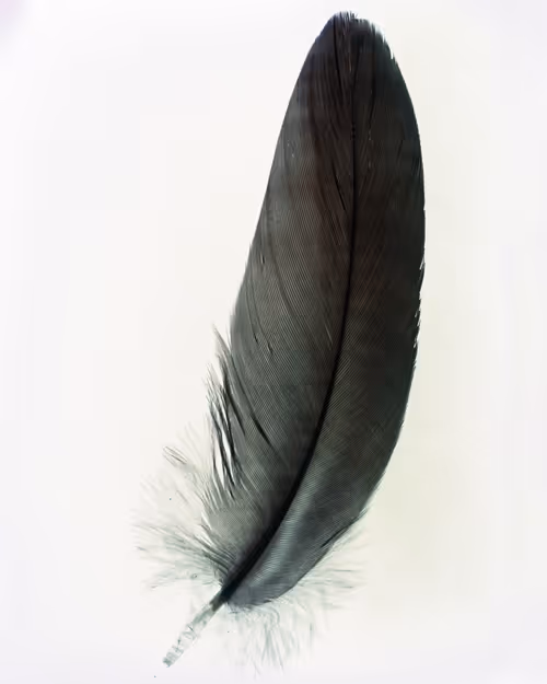 Item #15950502774274559587709957543874871977543956853015568947902385676705605877761 Media