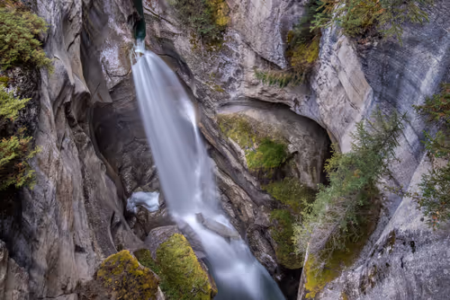 Item #11717075435639617062538583051799023982813876484308334407242089889880113938433 Media