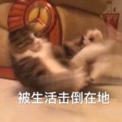 qqq89