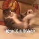 qqq89