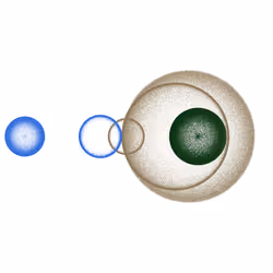 70353057672015735818645322495962653854503002062545499345613794252071047790593