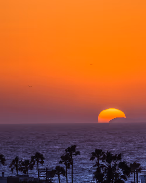 Item #36803766187647196690517014366493952358167166362150973793678746442212116004865 Media