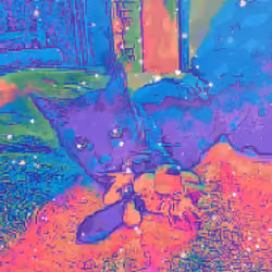 CryptoKittys 54