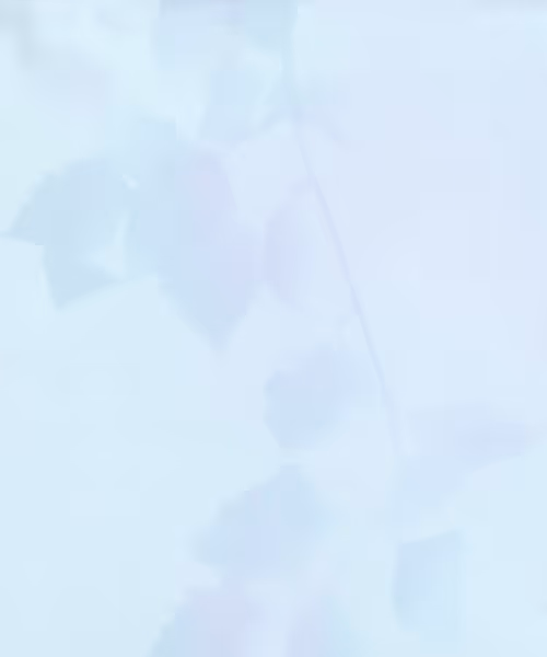 Item #66412083877775050052255921183624814536266007620308041883263231602646428155905 Media