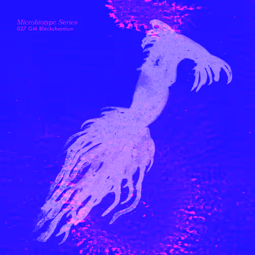 Item #20537471166803336483697920459392139182541277411208615206121837259188273676289 Media