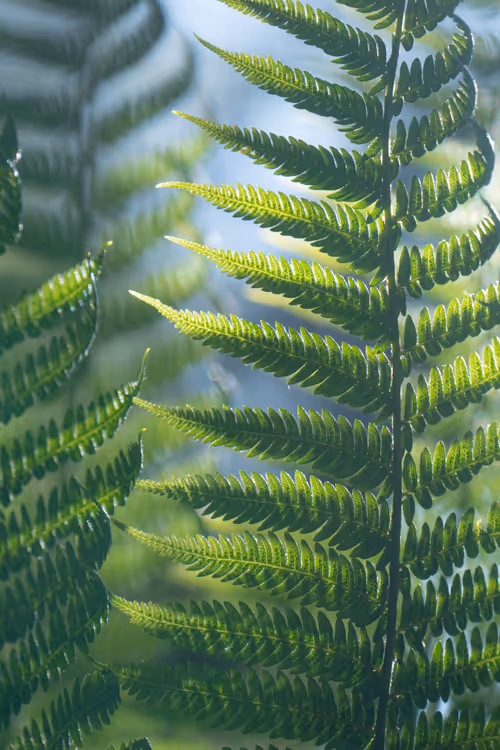 Item #61140817841535323188943582947873458398896939162862574355994582700745600008193 Media