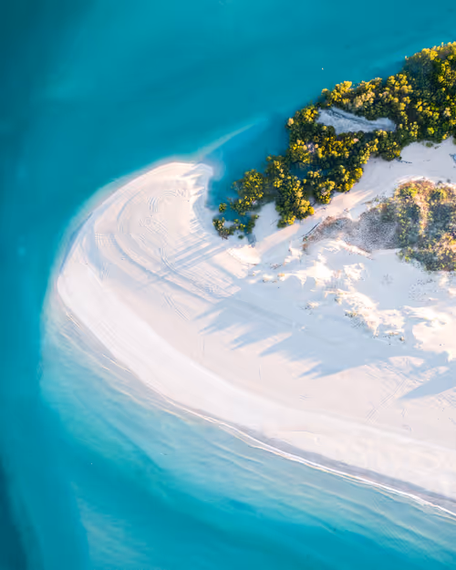 Item #98364308577151193896223353629965486931327977974902168475633960447314510217217 Media