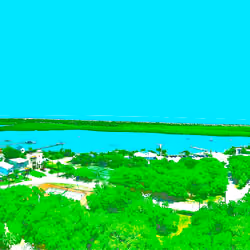 Safe Harbor
