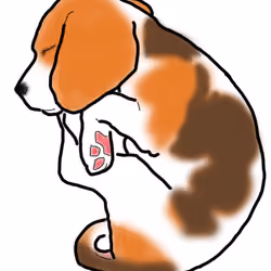 CuteBeagle#8