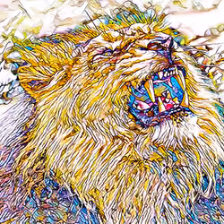 Lion Morning