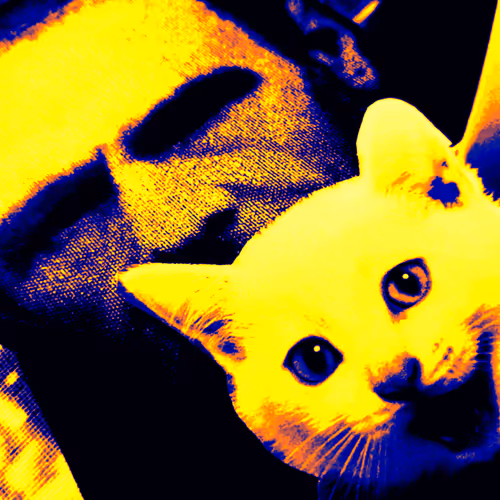 4747115153065902387790593868107453782499677024781155622119189968611195224065