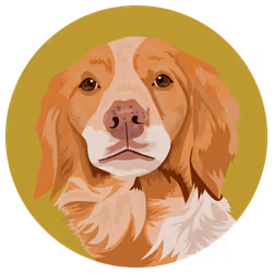 54766349128176429303044182404049584425310907481653304317570413809986053341185