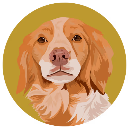 Item #54766349128176429303044182404049584425310907481653304317570413809986053341185 Media