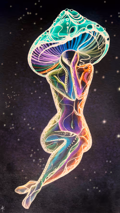 Item #93249515409611681283786950820119388422309886135921874789050953440649457696772 Media