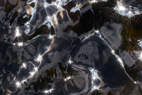 Item #81441334517361708208394031135700195474624799851237506988747108100837644173313 Media