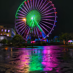 Ferris Wheel #11 - Fluorescent