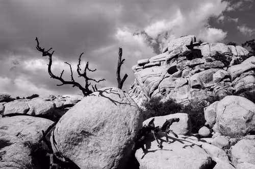 Item #43855545179559374949578343538533146521052449225092810466716167735350168387585 Media