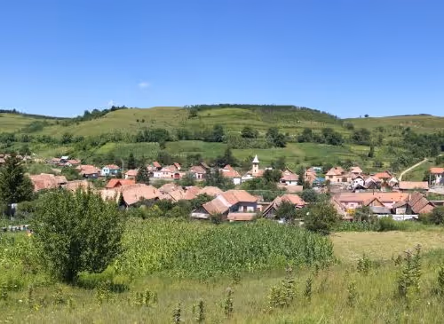 JiggyJayjo Collection - old