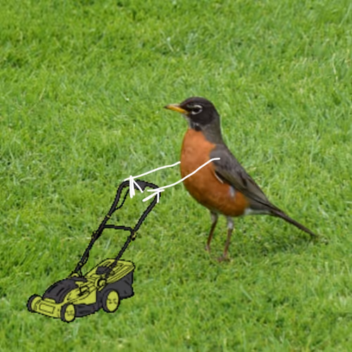 Item #109675299844138908130345288842380091015434126869171858984097083529391725608961 Media