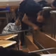 21035583634890037049294480898011851077042321650898078509788891908541262069761
