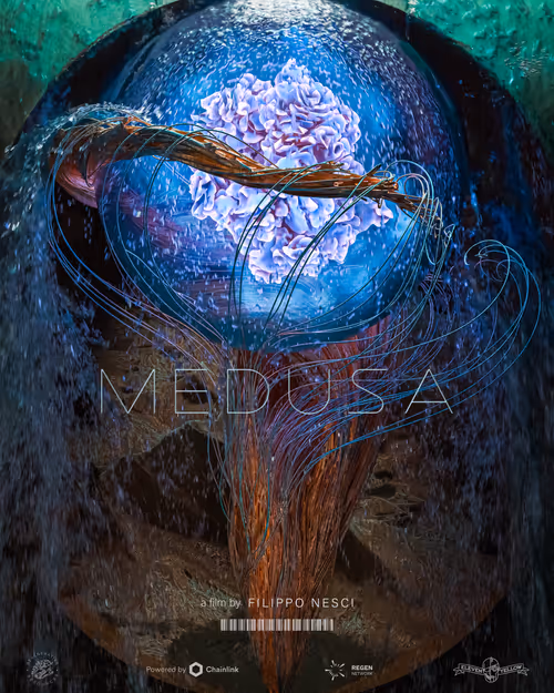 Item #67862288771501985065207433759225169411494342285282539462895293434241098973185 Media