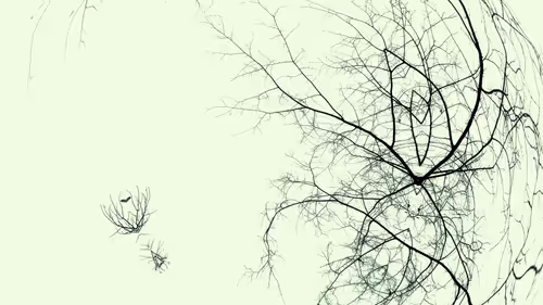 Item #24967146477419090921560663038626653354572651960968859782515528549403100971009 Media