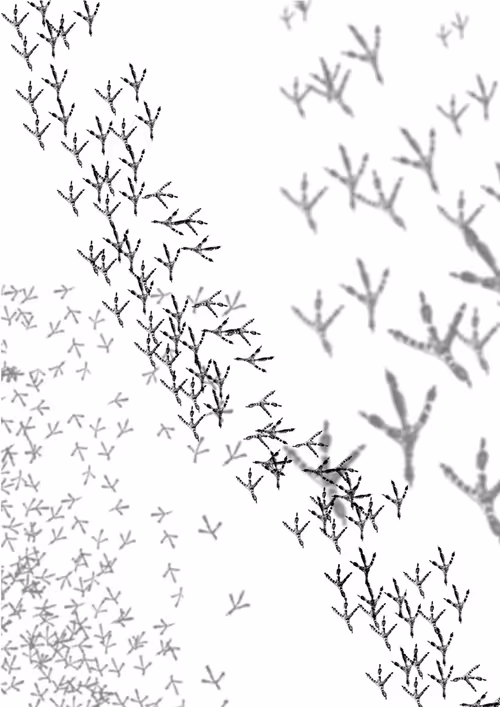 Item #22287813483371826071235731740106680874196660176262683968110774403864815730689 Media