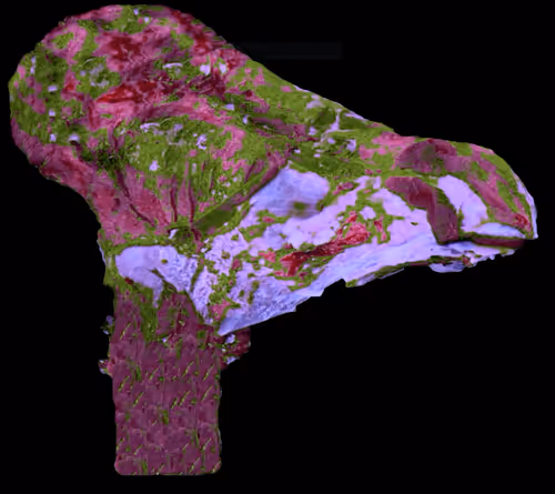 Item #18063966590187803564983313972252836895288362682890717819958697152697906233345 Media