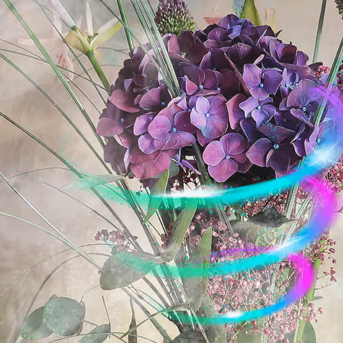 Phlowers Art