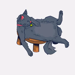 Lazy cat #005