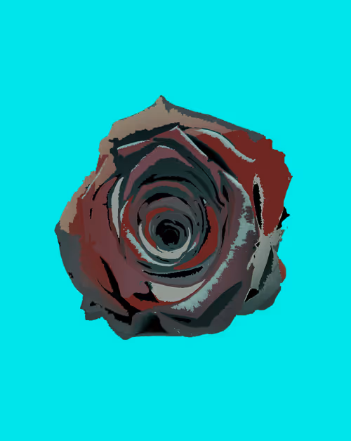 Item #81456042624357434202328939873654772461985486531984512622601373483400855289866 Media